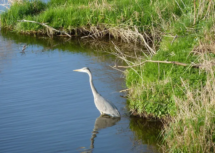 Het Wapen エンクホイゼン